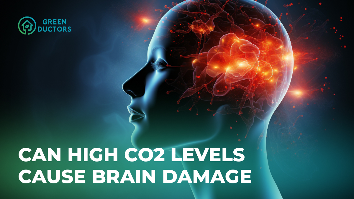 Can high CO2 Level Cause brain damage