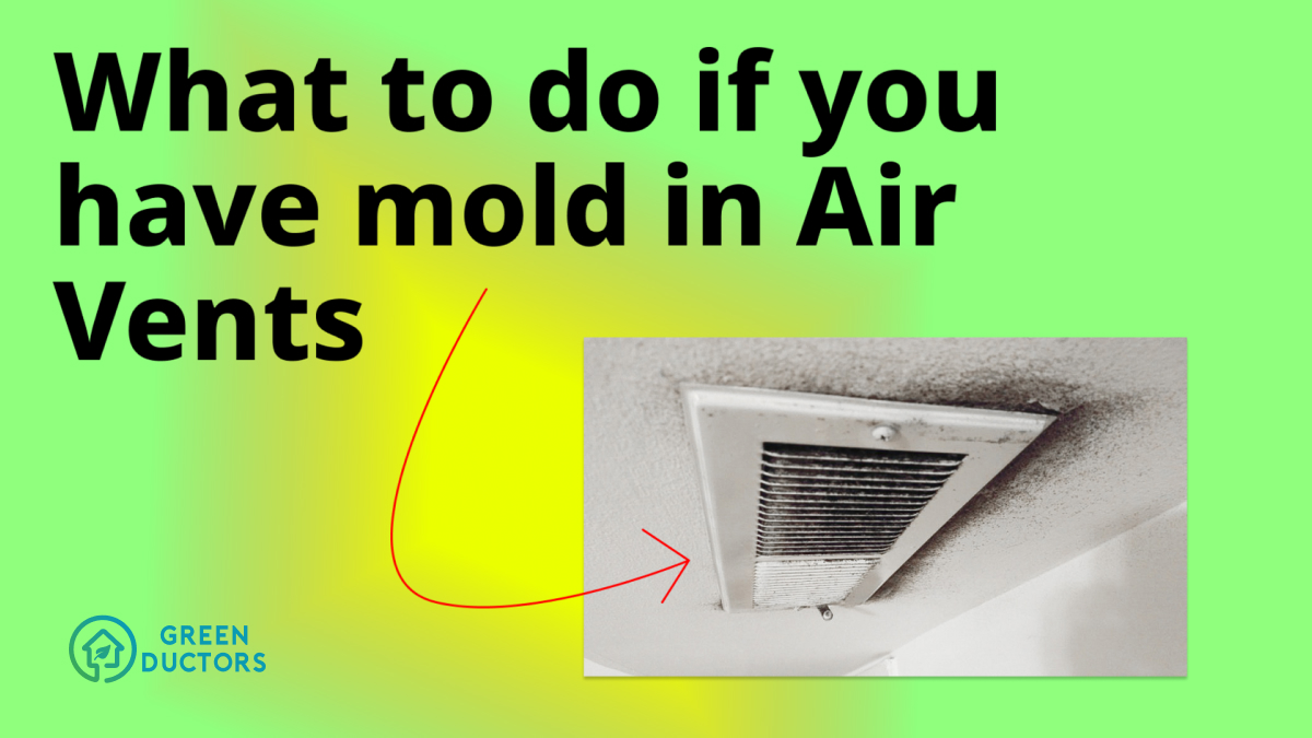 Early stage signs of black mold in air vents