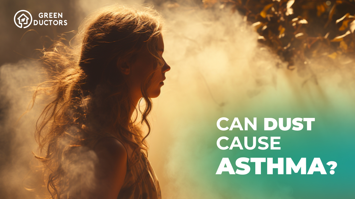Does dust cause asthma