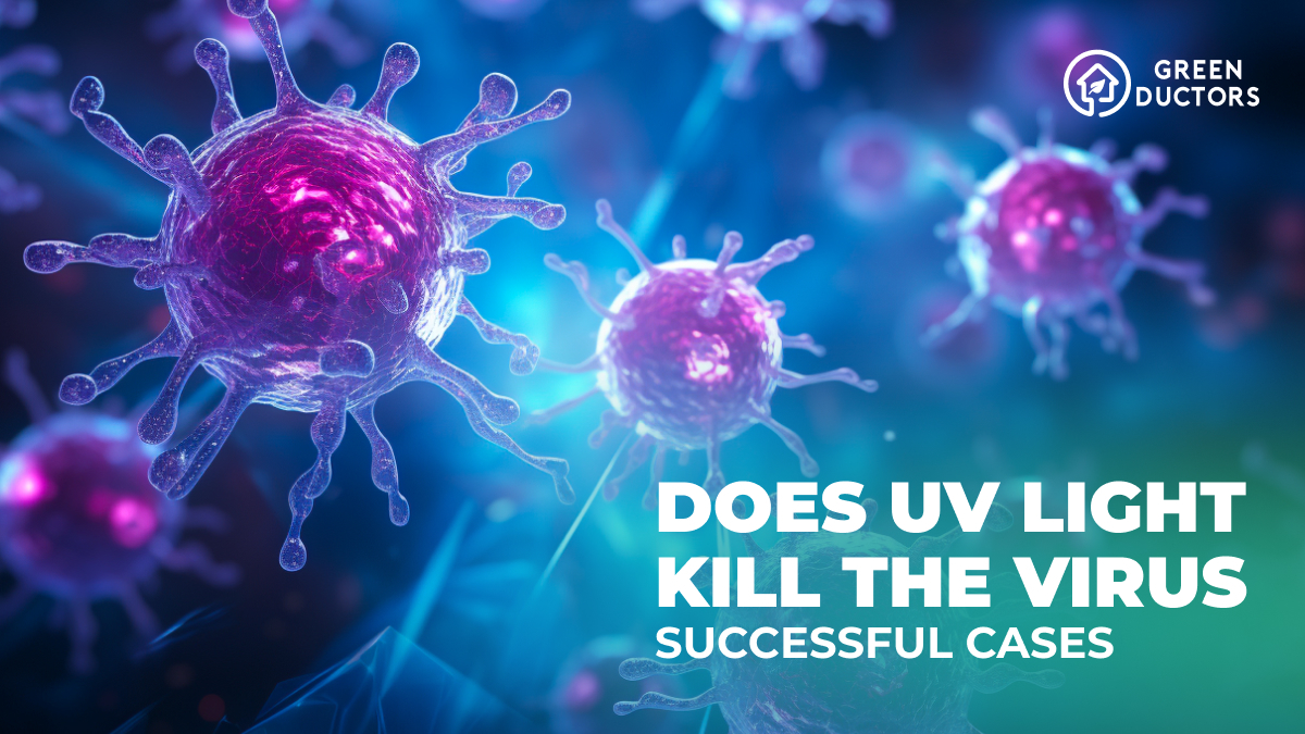 UV light kill the virus