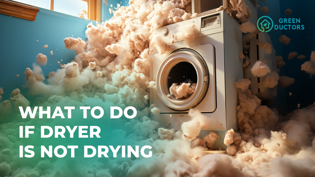 What to do if Dryer not drying