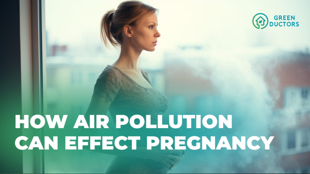 Impact of Air Pollution on Pregnancy Risks and Precautions
