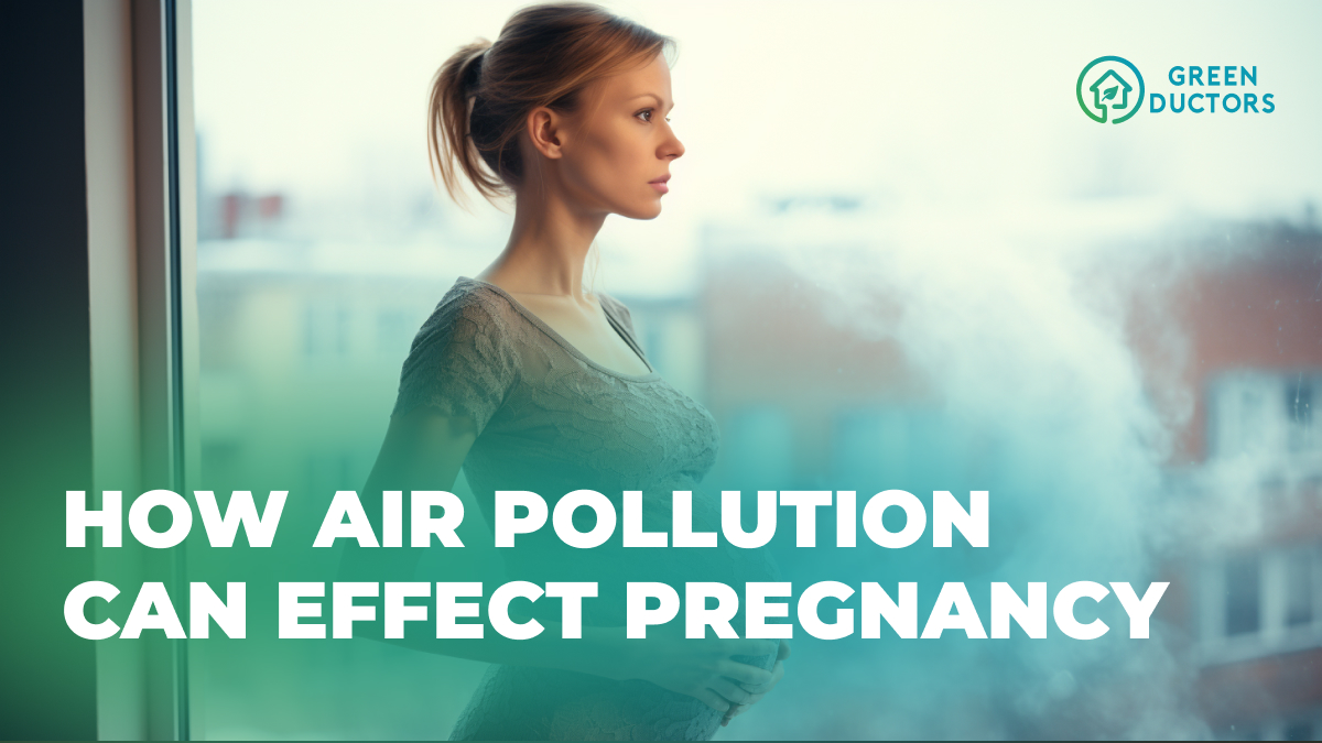 How air pollution can effect pregnancy