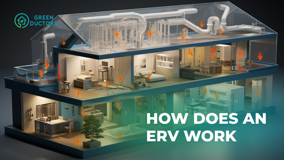 How does an erv work