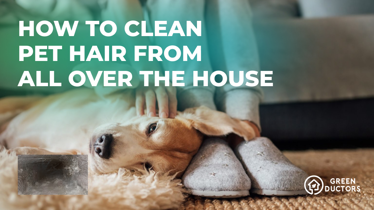How to clean pet hair in air duct