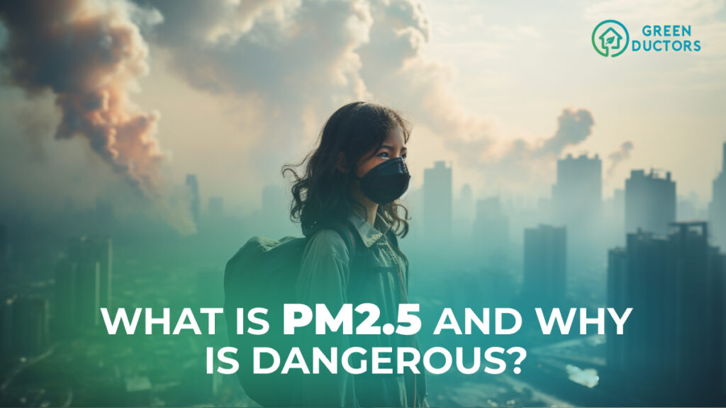 What is pm2 5 and how it threatens health