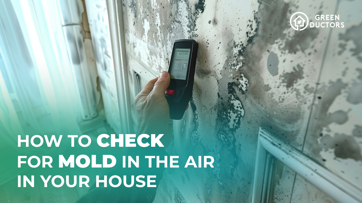 How to check for mold in your house