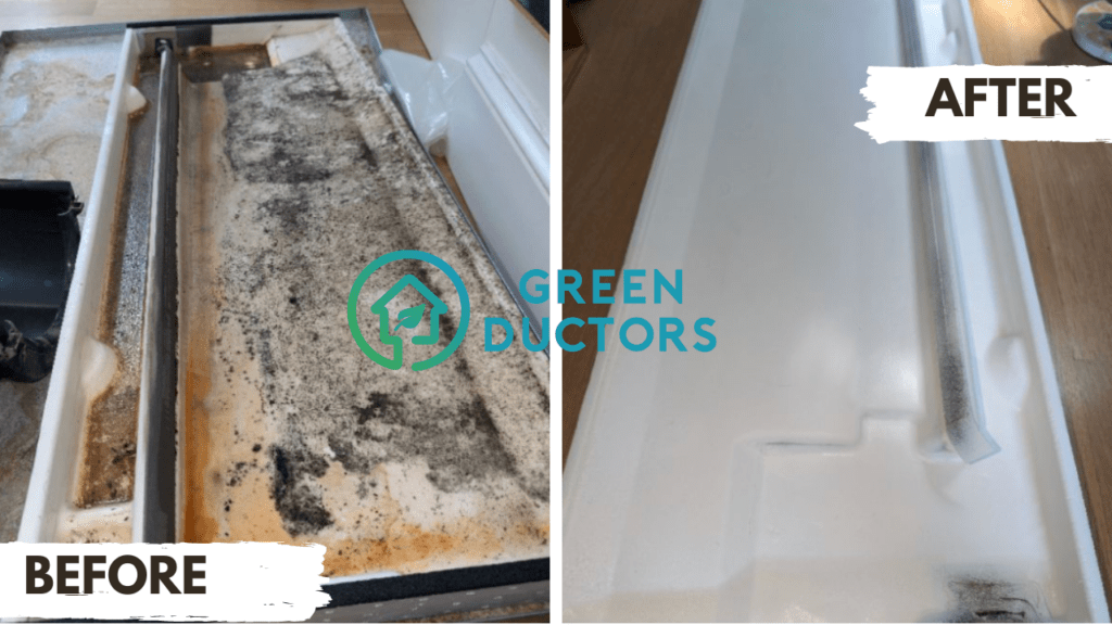 mold in air vents in ny and nj