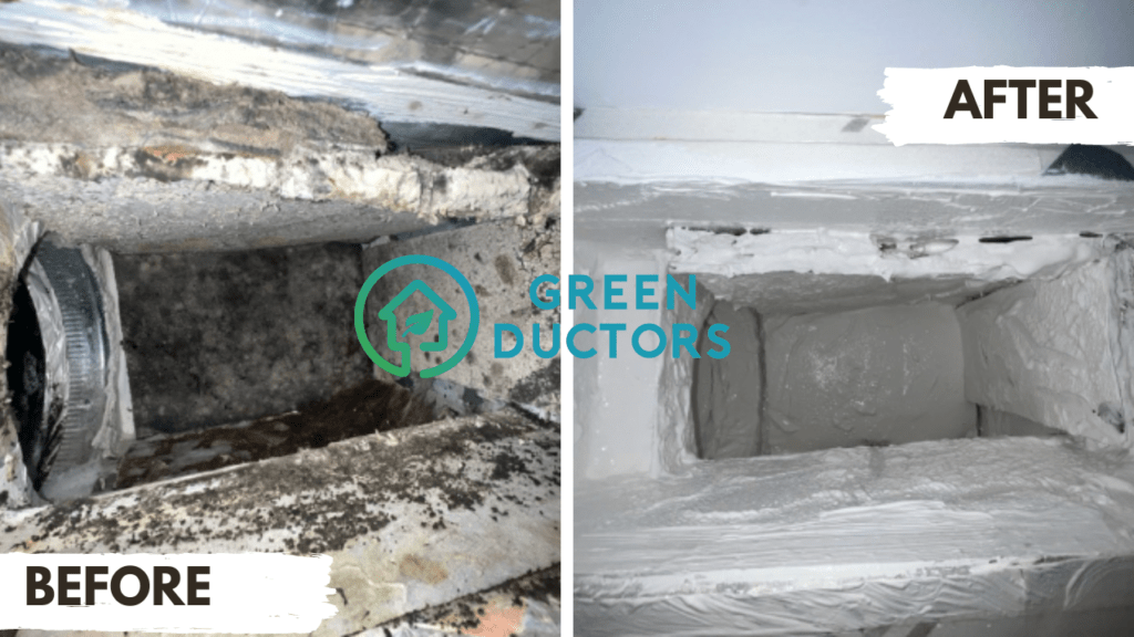 mold in air vents