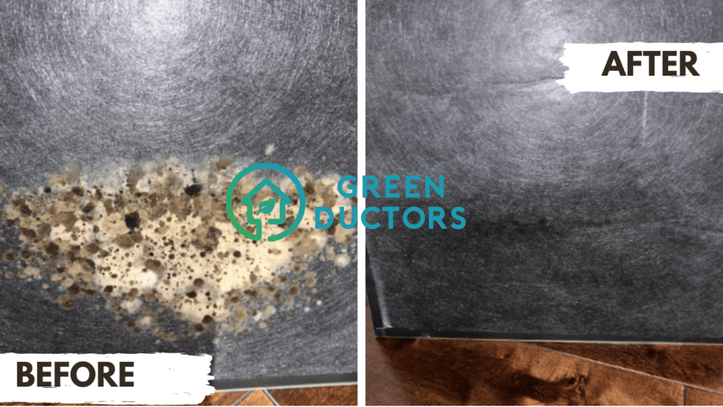 mold in air conditioning filter