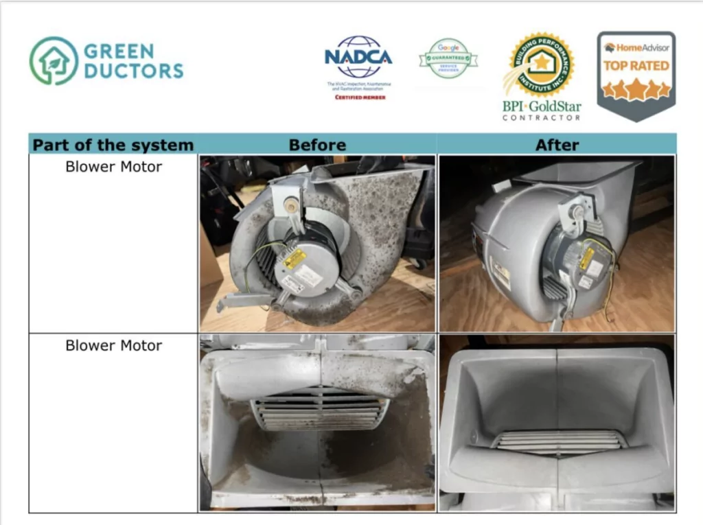 the picture illustrates mold on blower motor because of the lack of maintenance