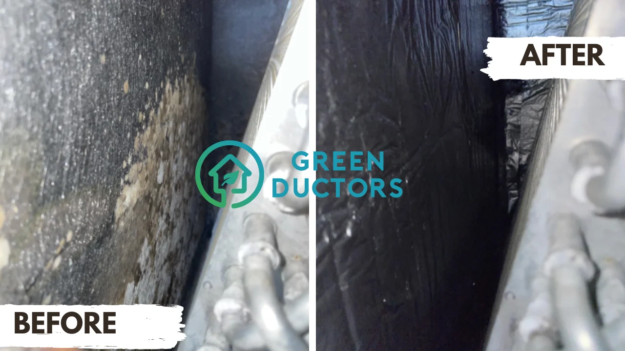 mold in air vents of home