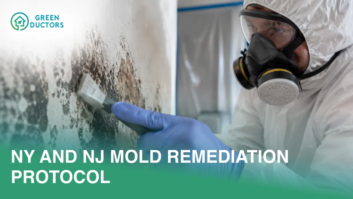 ny-and-nj-mold-remediation-protocol